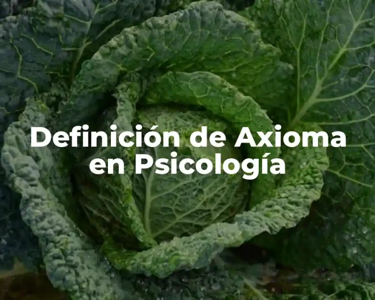 Definición de Axioma en Psicología