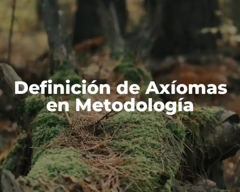 Definición de Axíomas en Metodología