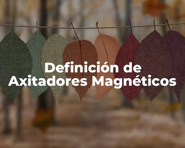 Definición de Axitadores Magnéticos