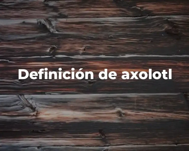 Definición de axolotl