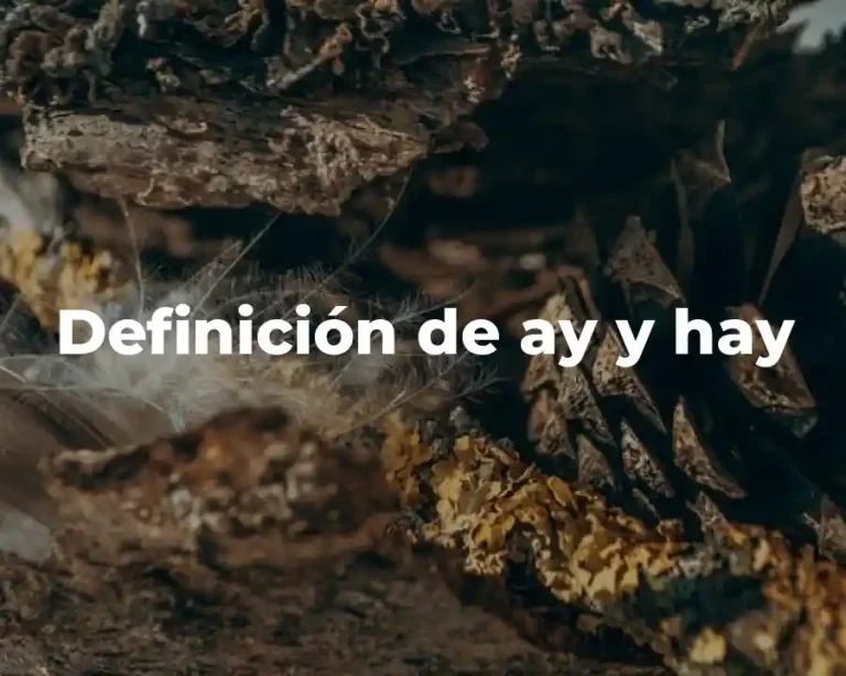 Definición de ay y hay