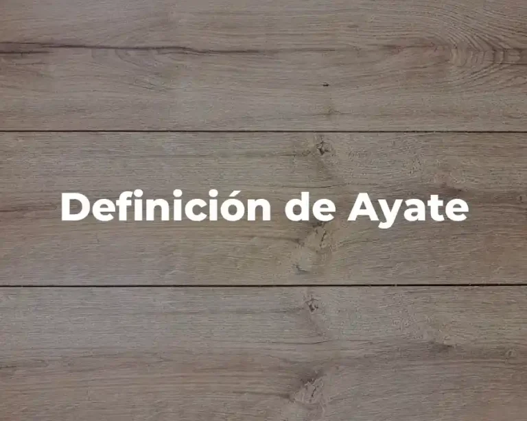 Definición de Ayate