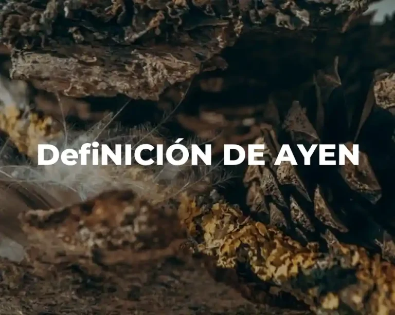 DefiNICIÓN DE AYEN