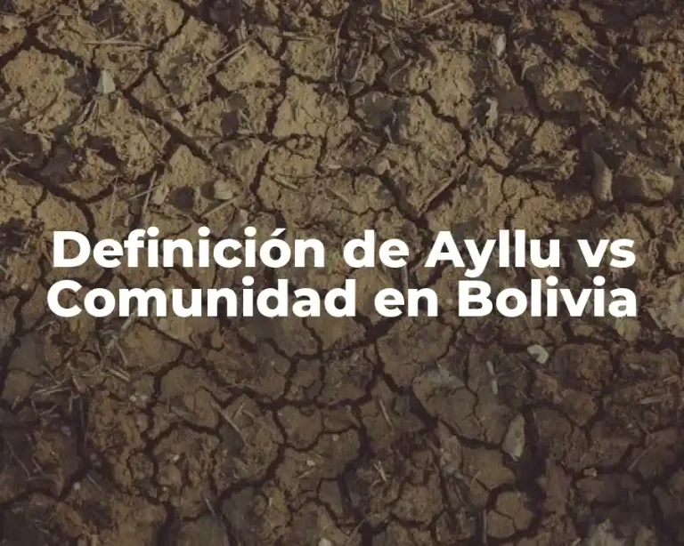 Definición de Ayllu vs Comunidad en Bolivia