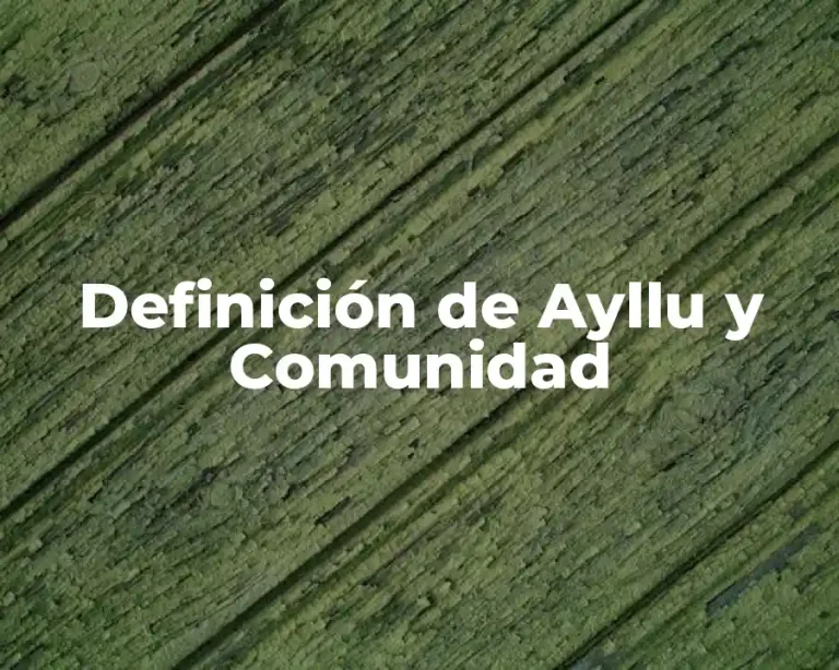 Definición de Ayllu y Comunidad