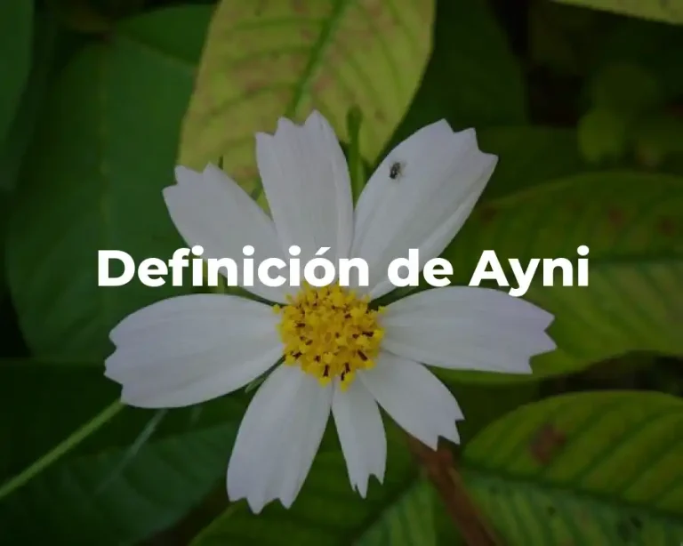 Definición de Ayni