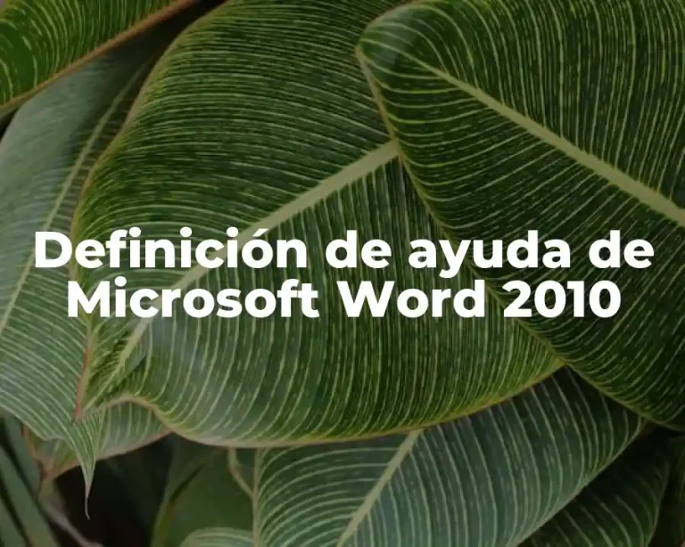 Definición de ayuda de Microsoft Word 2010