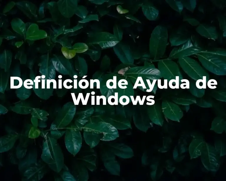 Definición de Ayuda de Windows
