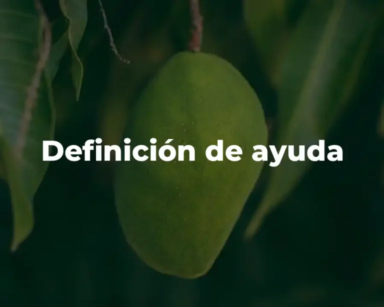 Definición de ayuda