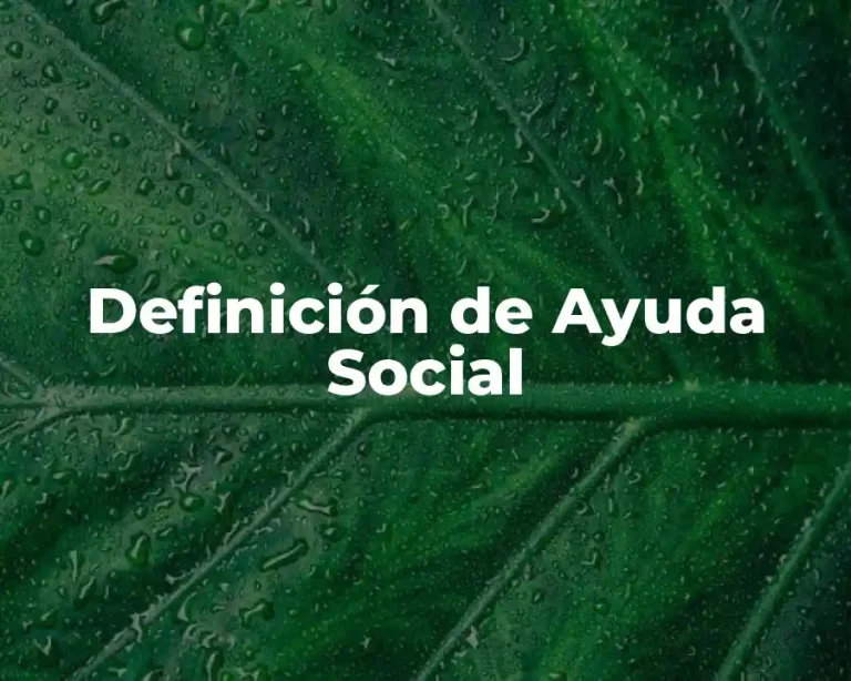 Definición de Ayuda Social