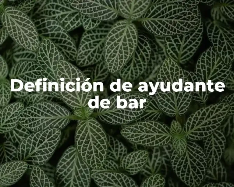 Definición de ayudante de bar