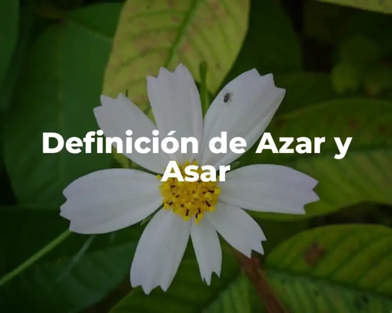 Definición de Azar y Asar