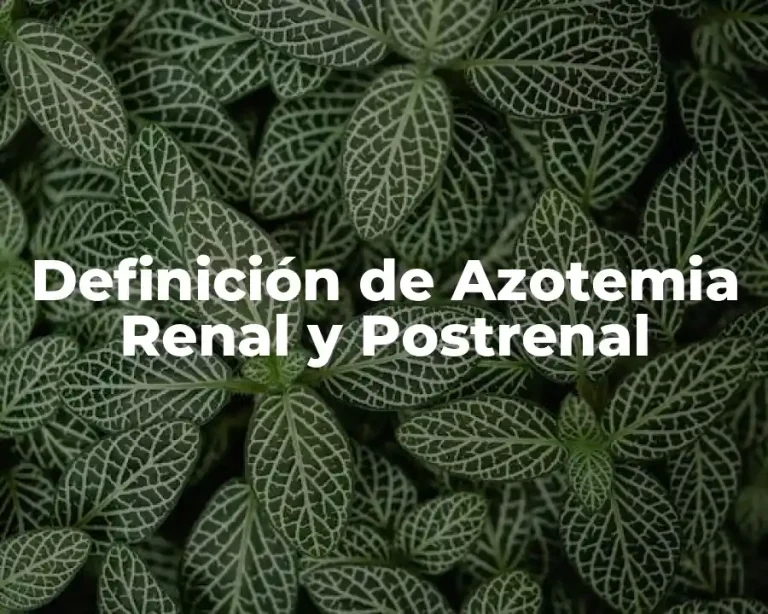 Definición de Azotemia Renal y Postrenal