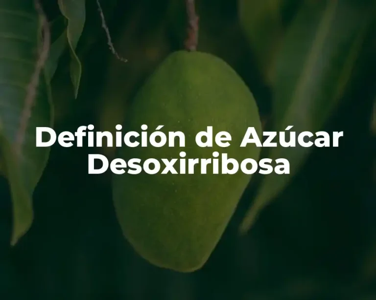 Definición de Azúcar Desoxirribosa