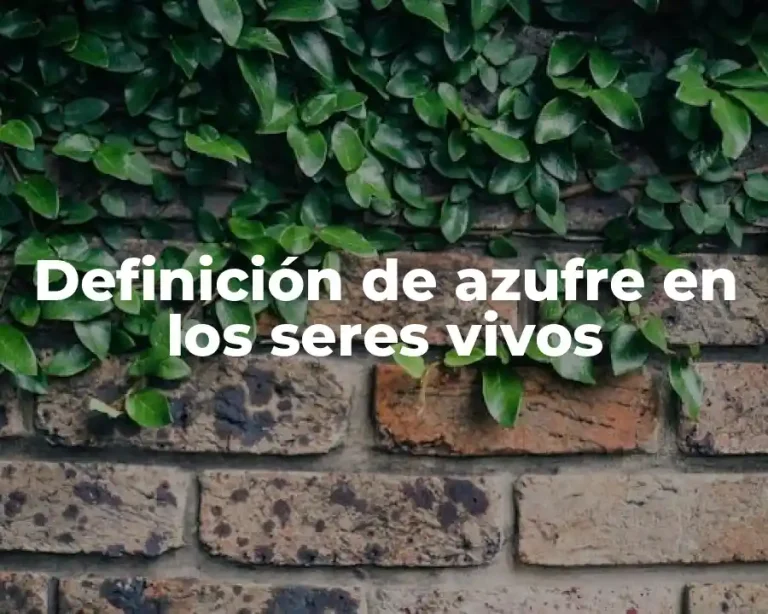 Definición de azufre en los seres vivos