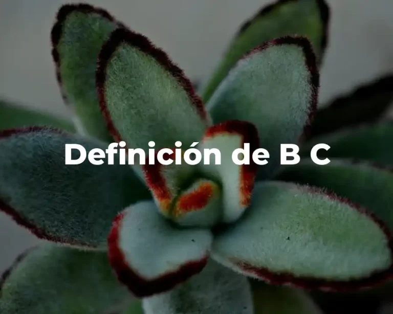 Definición de B C