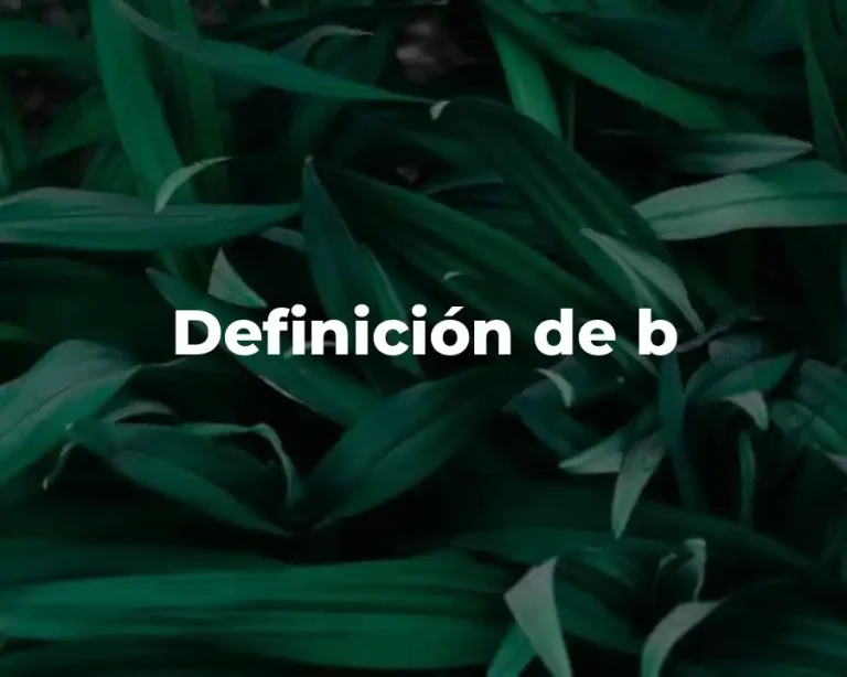 Definición de b
