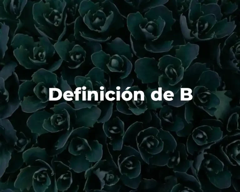 Definición de B