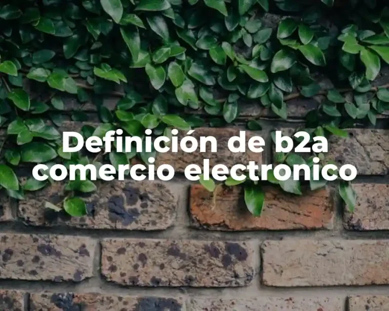 Definición de b2a comercio electronico