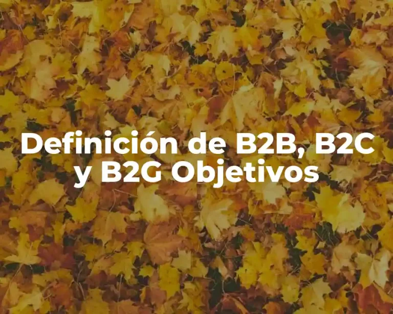 Definición de B2B, B2C y B2G Objetivos