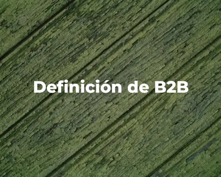 Definición de B2B