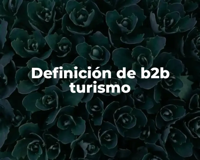 Definición de b2b turismo