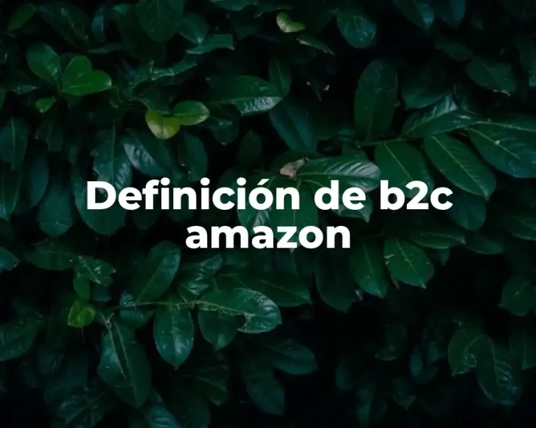 Definición de b2c amazon