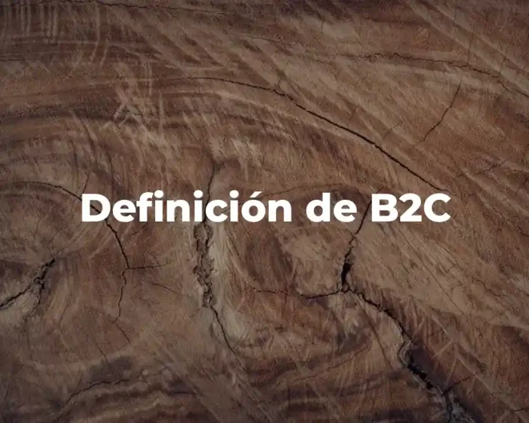 Definición de B2C