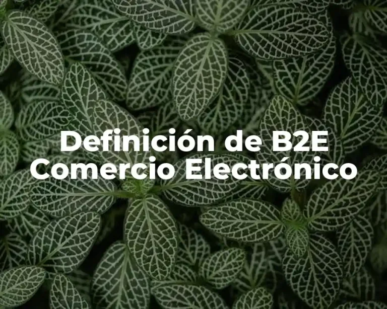 Definición de B2E Comercio Electrónico