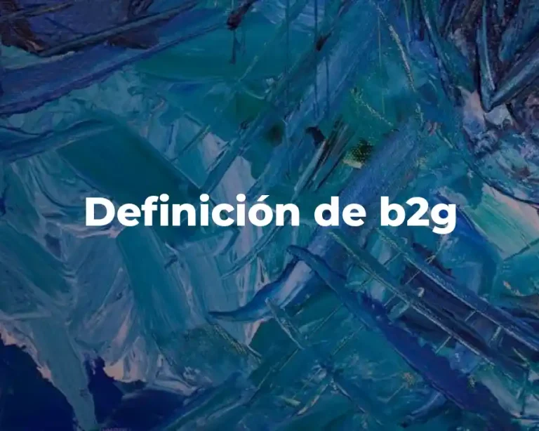 Definición de b2g