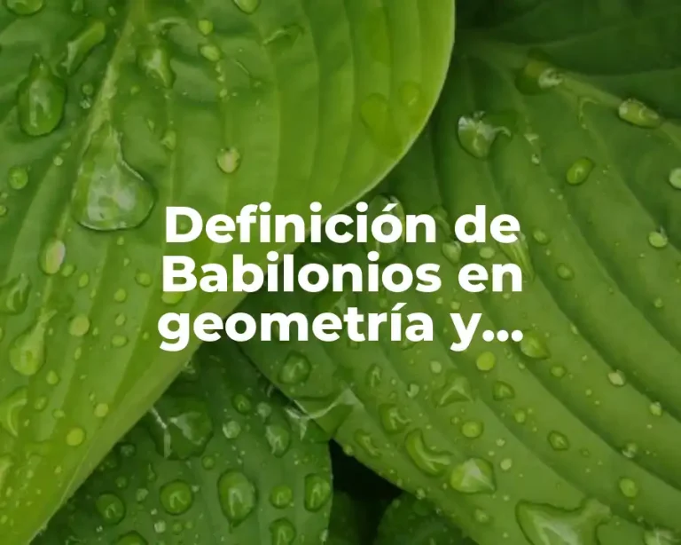 Definición de Babilonios en geometría y trigonometria