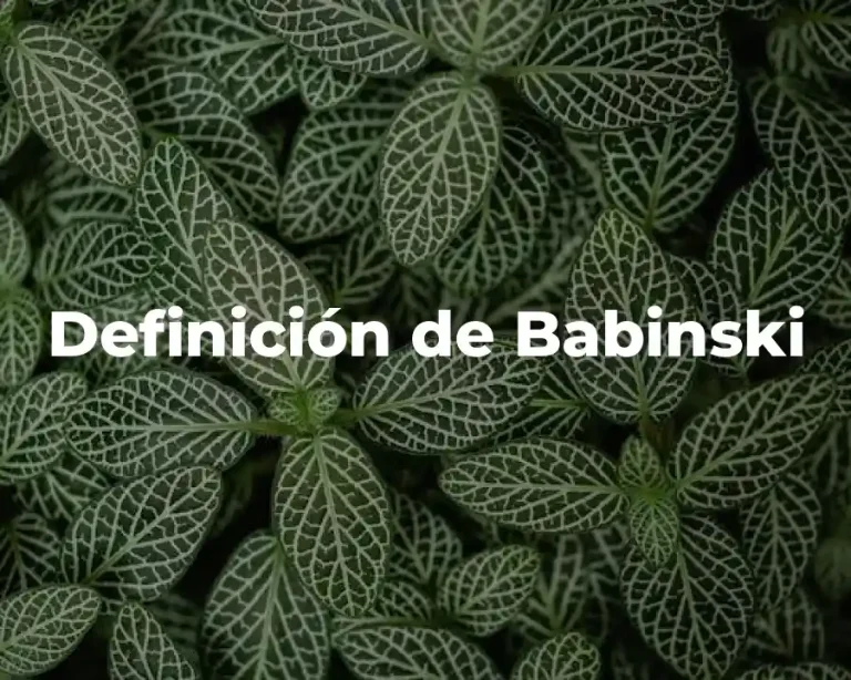 Definición de Babinski
