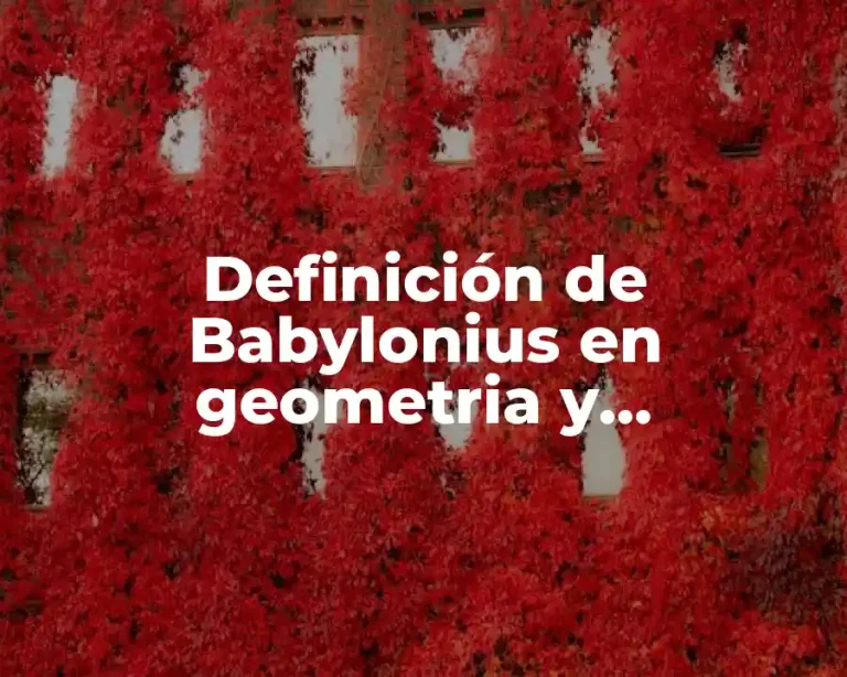 Definición de Babylonius en geometria y trigonometria