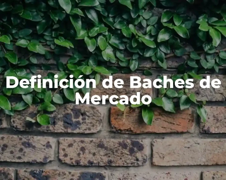 Definición de Baches de Mercado