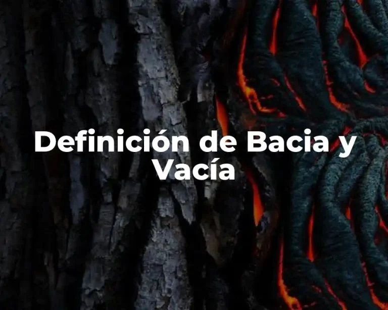 Definición de Bacia y Vacía