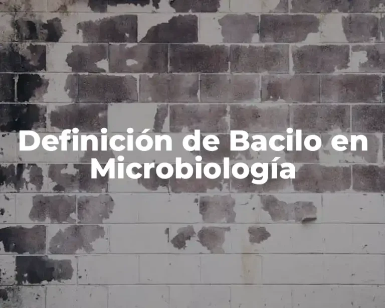 Definición de Bacilo en Microbiología