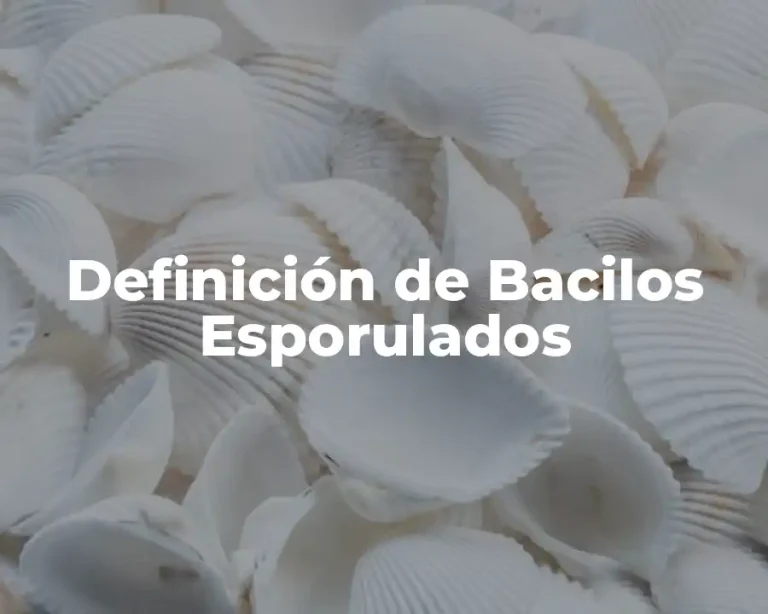 Definición de Bacilos Esporulados