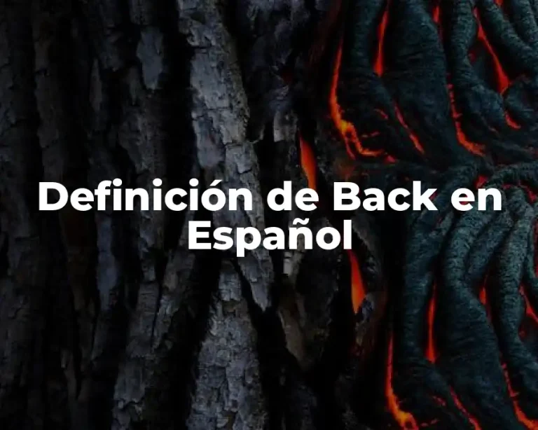 Definición de Back en Español