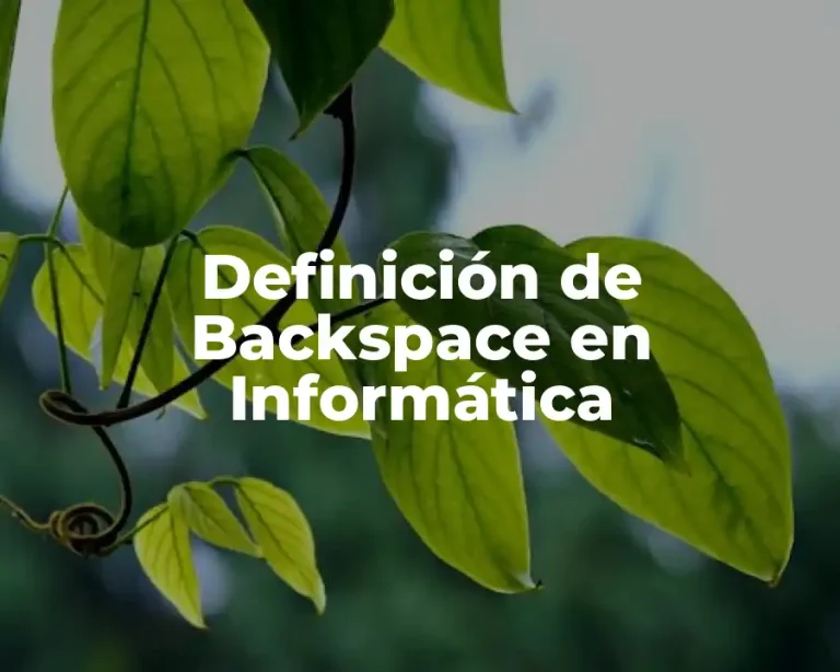 Definición de Backspace en Informática