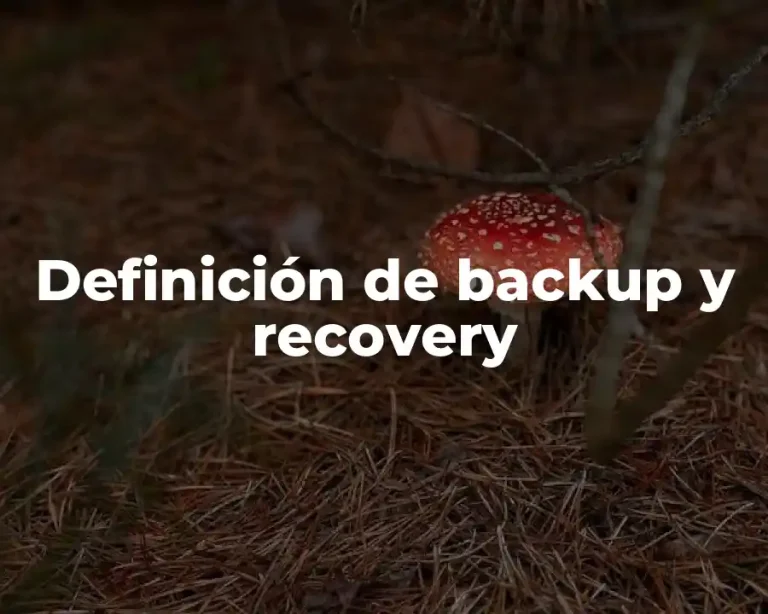 Definición de backup y recovery