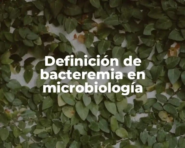 Definición de bacteremia en microbiología
