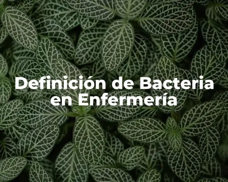 Definición de Bacteria en Enfermería