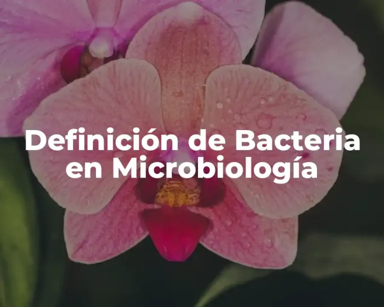 Definición de Bacteria en Microbiología