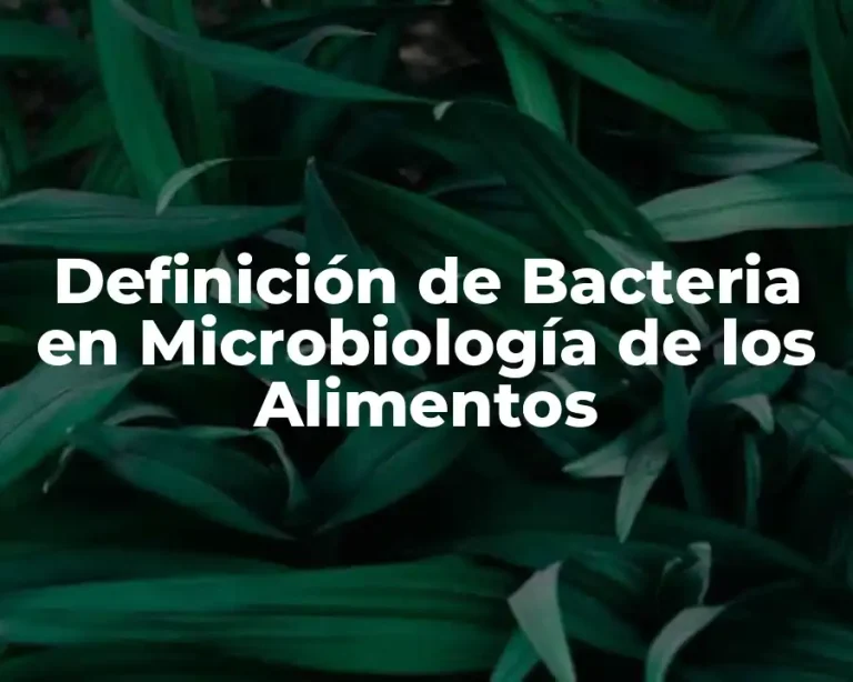 Definición de Bacteria en Microbiología de los Alimentos