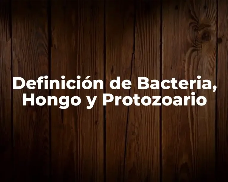 Definición de Bacteria, Hongo y Protozoario