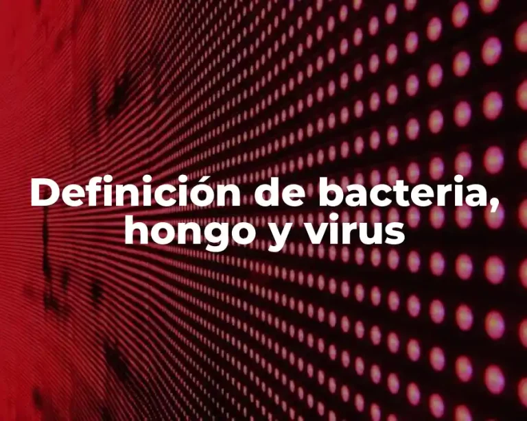 Definición de bacteria, hongo y virus