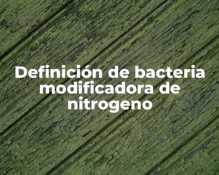 Definición de bacteria modificadora de nitrogeno