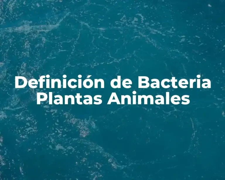Definición de Bacteria Plantas Animales