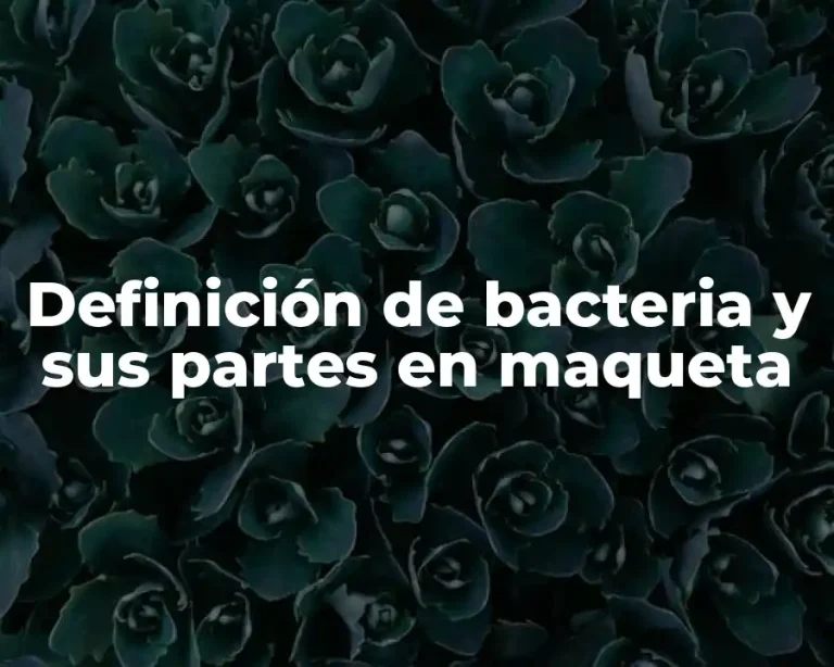 Definición de bacteria y sus partes en maqueta