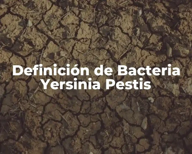 Definición de Bacteria Yersinia Pestis